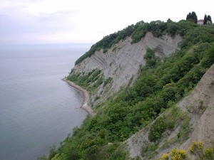 7f3725b6-2aca-478b-8423-884991e2e741