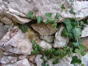 Mikrolokacija Studenice