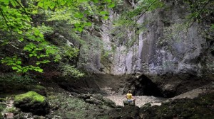 03-Veliko_okence-by_markpolona