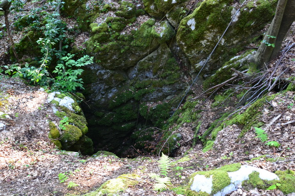 Keškova sapnica (Foto: Lagosi)