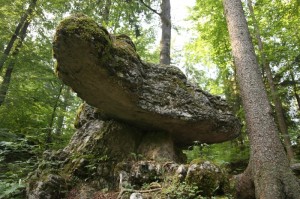 Pogled "od spodaj"