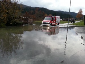 1492623_728524490566361_8900636563997889800_o