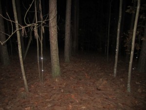 IMG_2883
