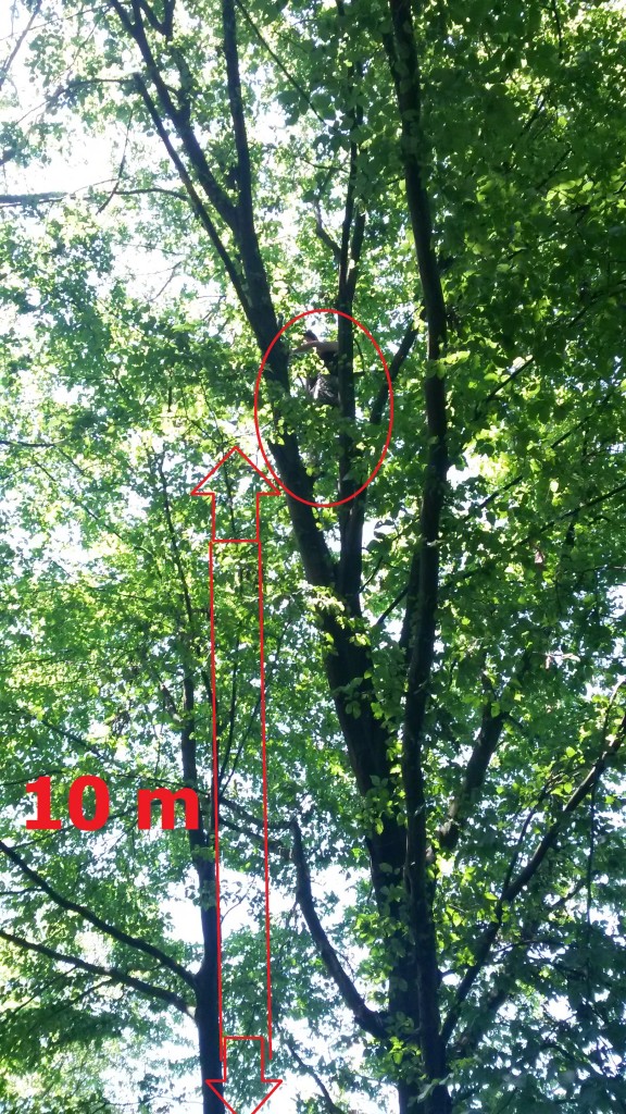 dosedaj-najvisji-plezanj