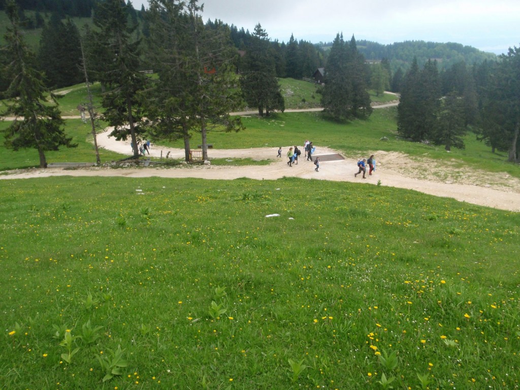 Poti so že skoraj čiste!