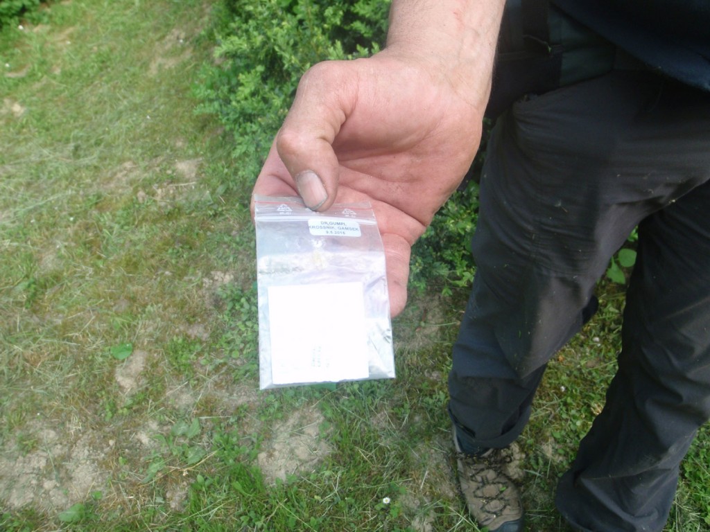 Včasih je namesto škatlice zgolj vrečka