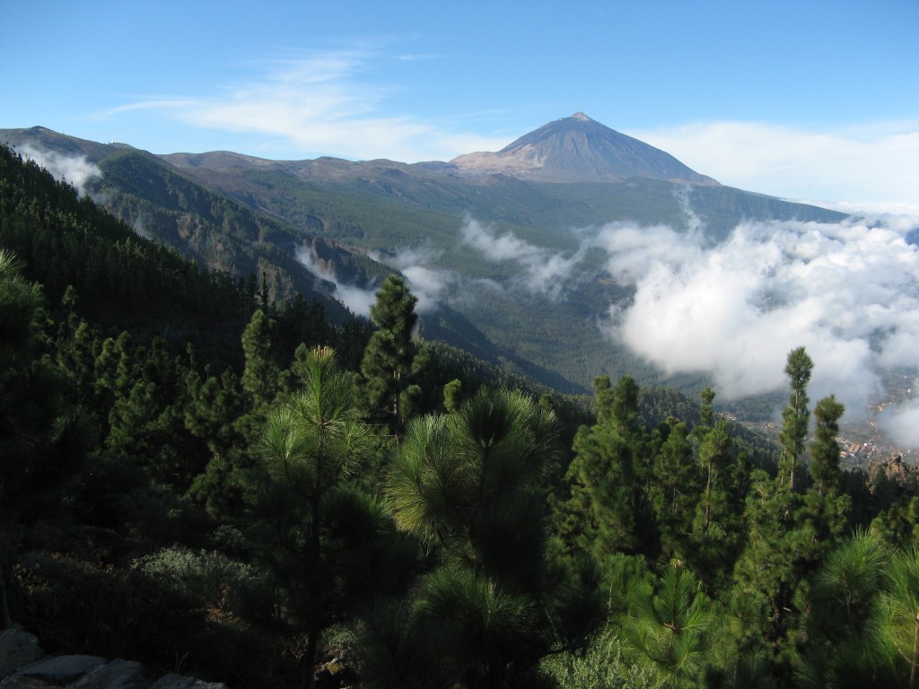 Dulsineja_4_Razgled_na_Teide