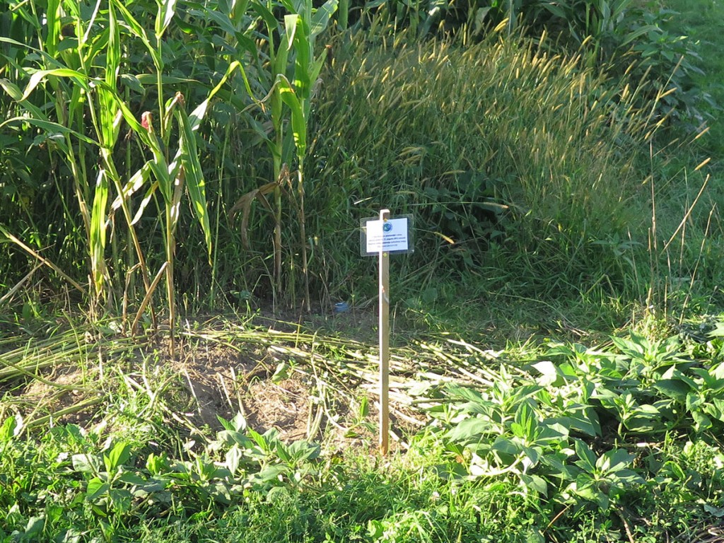 Obvestilo nevednim domačinom