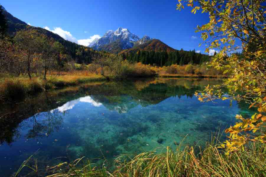 17_-_IMG_4475_-_ZELENCI_(izvir_Save_Dolinke)_orig_320846