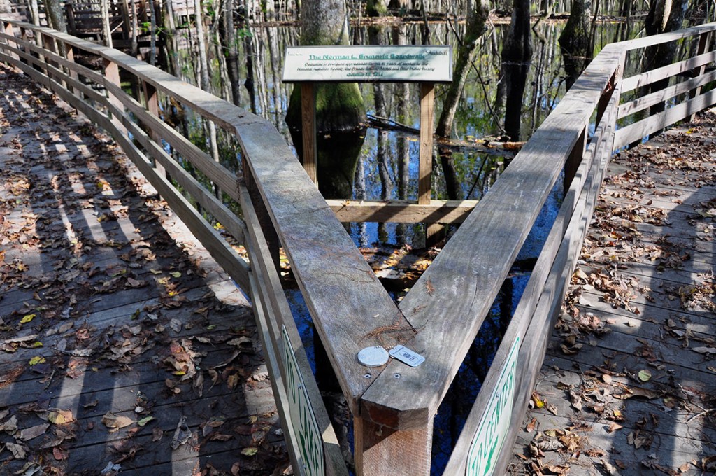 Zadnja postaja po več kot 4 letih na poti: poplavni pragozd v rezervatu Francis Biedler Forest.