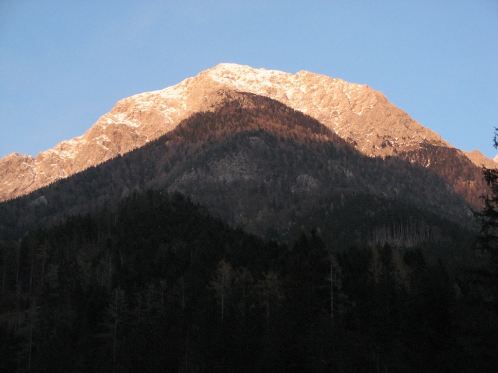 IMG_6006
