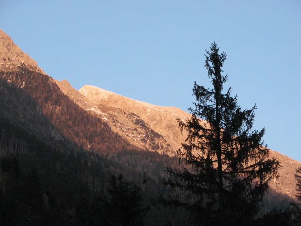 IMG_6008