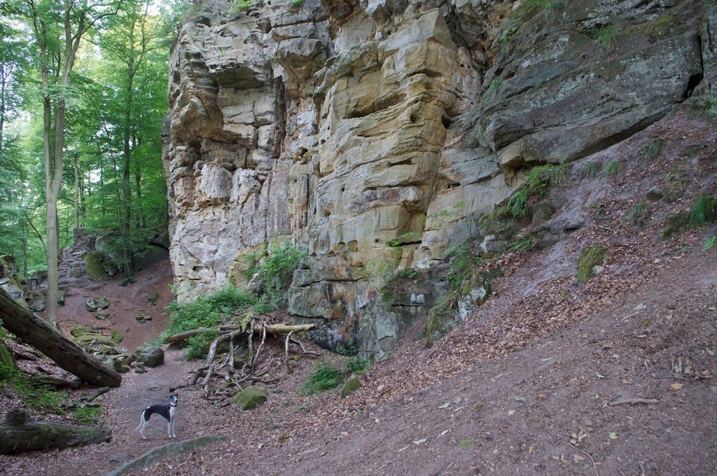 V hladu pod pečinami v bližini Hudičeve soteske.