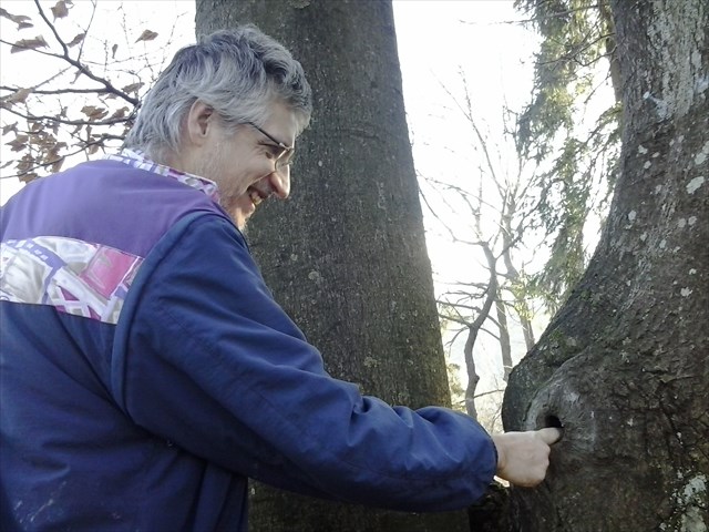 84e75d90-3343-4192-9251-f7c5ecb45576_l