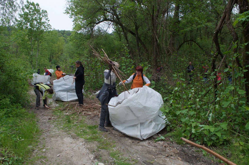 Kdo ga bo nabral več?