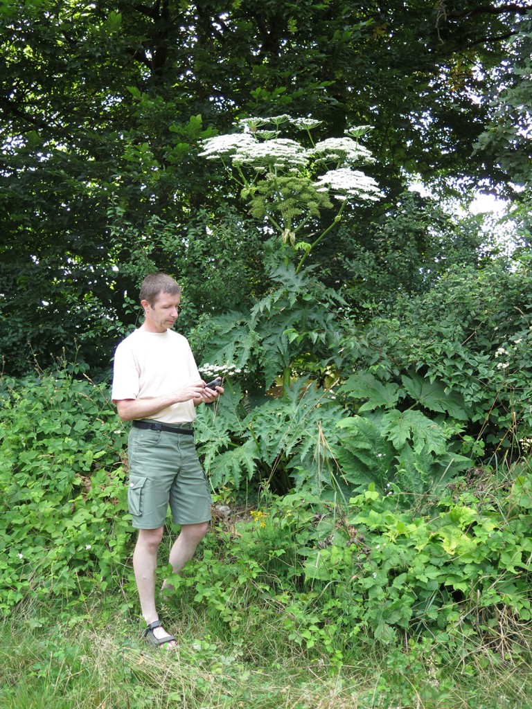 Orjaški dežen v okolici Ljubljane (foto: hvala, Kompaski!)