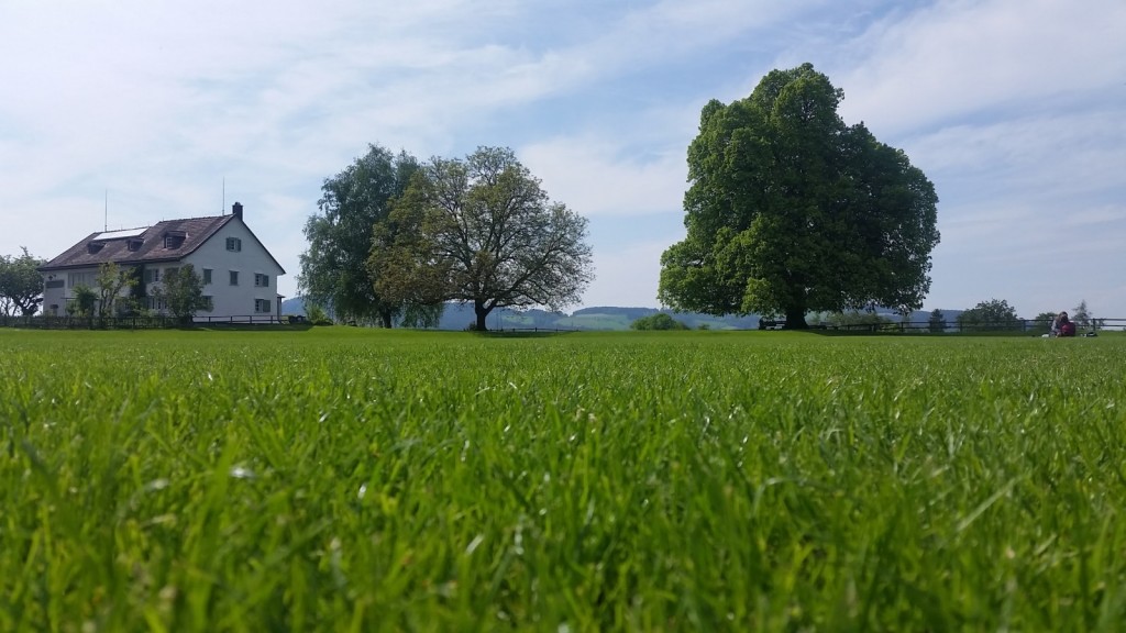 Čudovita narava in parki