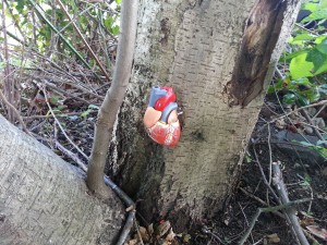 Umetno srce (GC2X9WZ)