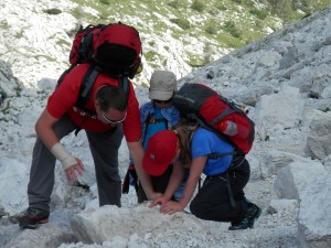 Kdor išče, ta najde … ali pa tudi ne