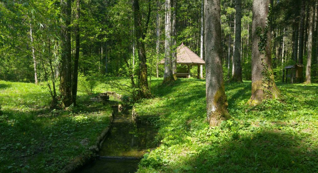Učilnica na prostem je primeren kraj za izračun koordinat. Ali malico.