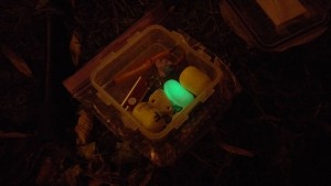 Največkrat se odpraviva kar na nočni geolov