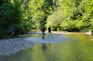 Potepanje po soteski Iške (foto: icabrian)