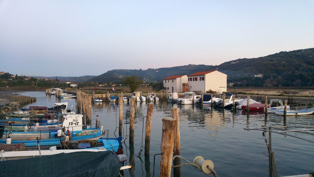 20161031_170352_strunjan_resize