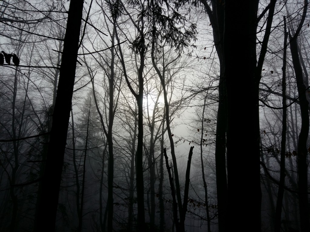 20170205_090422