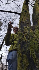 Večkrat je treba tudi plezati