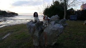 Elly in Aspen sta vedno za akcijo