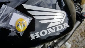 Geosovice se zelo rade vozijo z motorjem