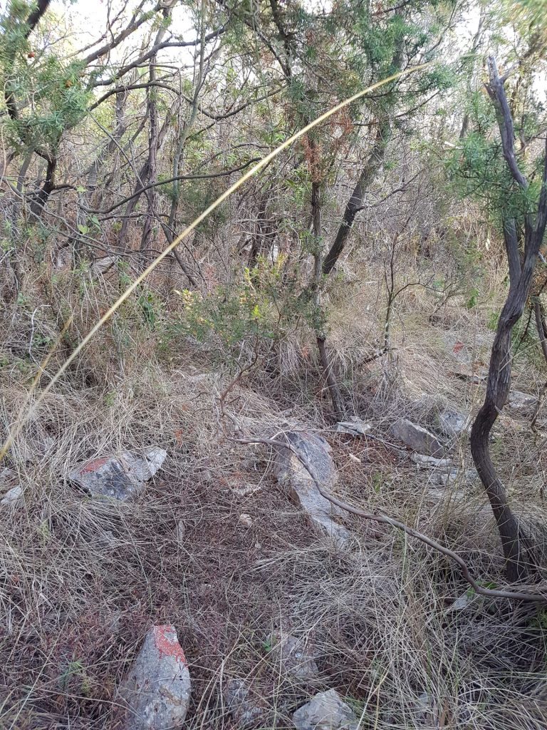 Markacije, moje prijateljice (na tej sliki so narisane 3)