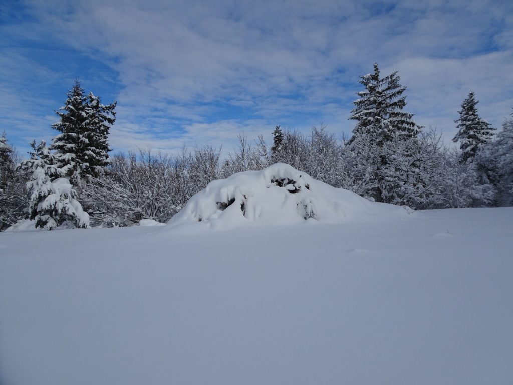Razpotje in hribek, za katerim nas je čakal zakladek