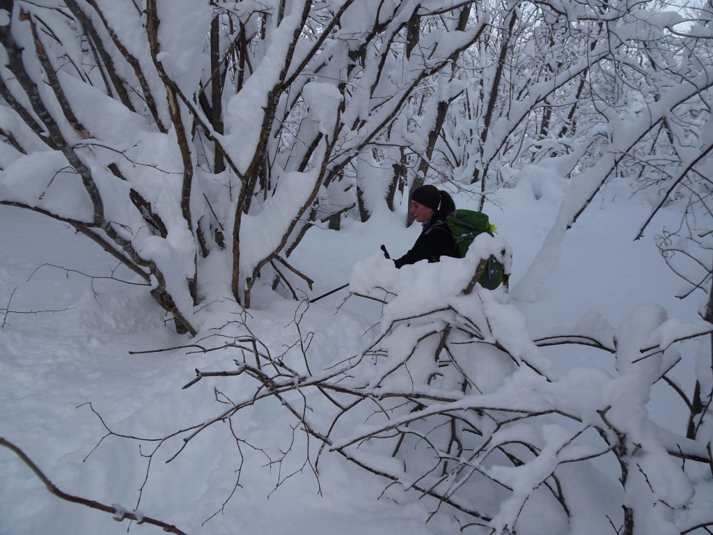 Sem pridi, tukaj je več snega za kopat...