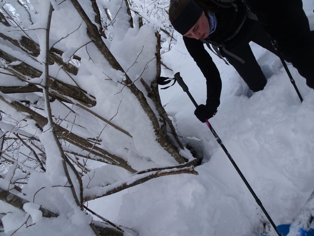 Tukaj nekje bi moral biti