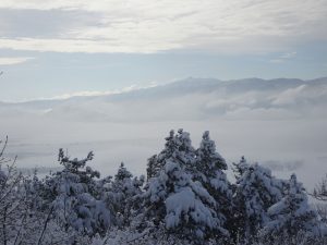 Cerkniško jezero v megli