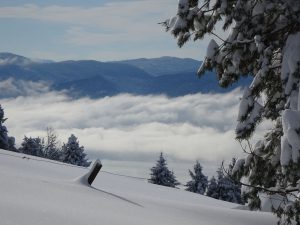 Cerkniško jezero, uzela ga magla