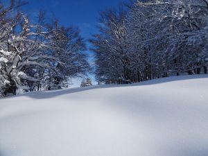 Dajmo fantje, še za gazit