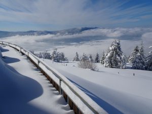 Ne nagibaj se preko ograje!