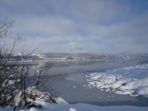 Hrib Slivnica, bela črta v ozadju je poseka za elektriko, ki vodi do koče