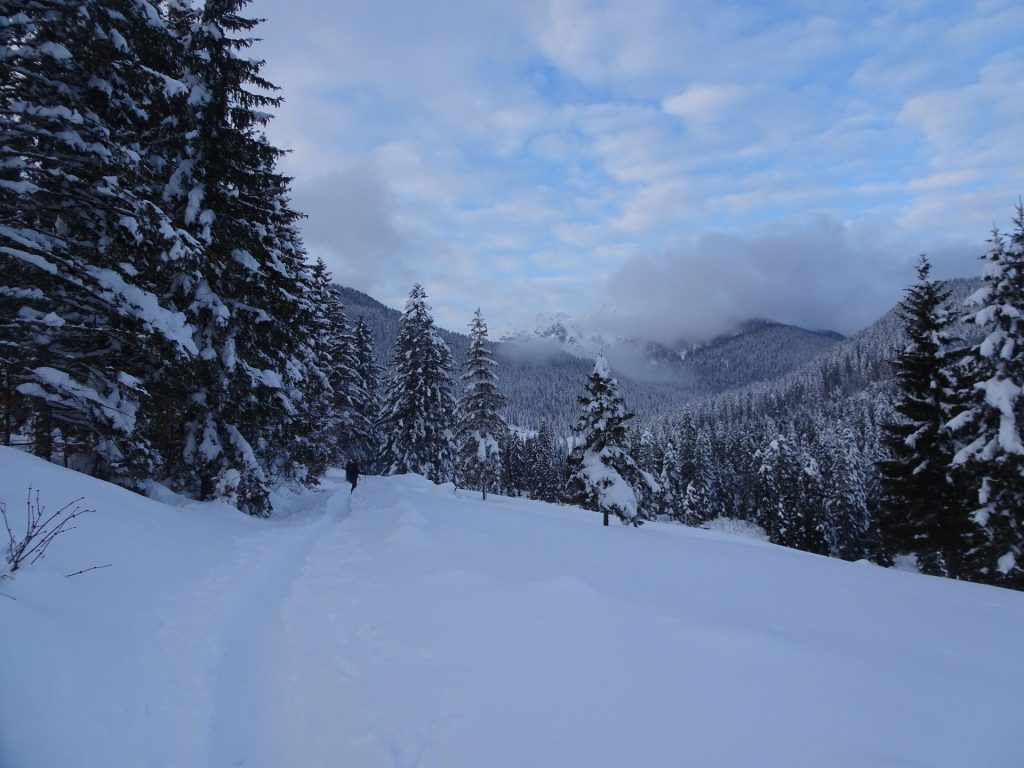 Pot, prvih 800 metrov