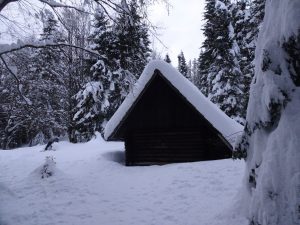 Hišica po imenu KAVKA