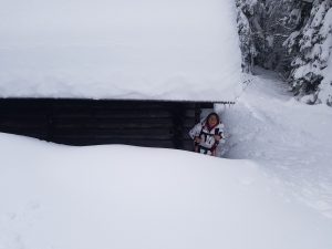 Snega kar ... precej