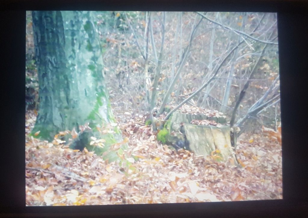 Fotokopiran spojler od lastnika