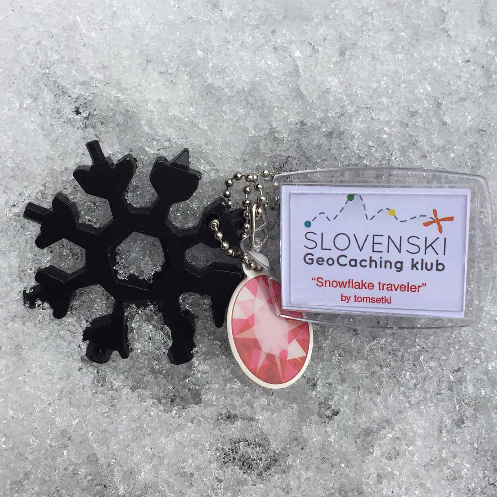 #03 Snowflake traveler by tomsetki