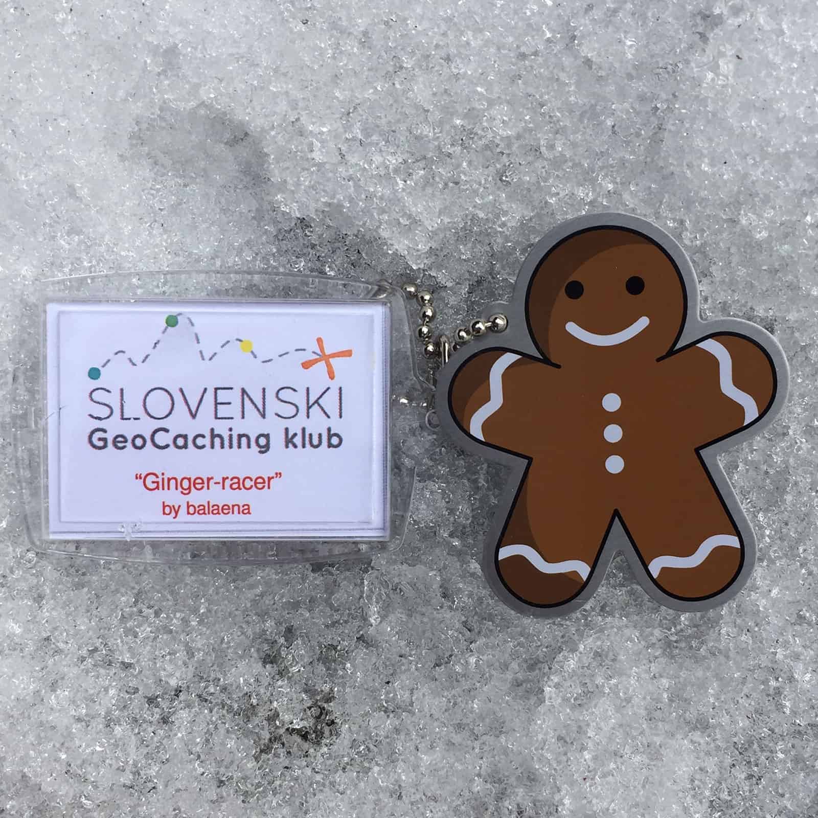 #04 Ginger racer by balaena