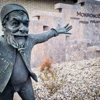 Mokronožci