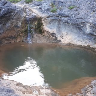 Tolmun